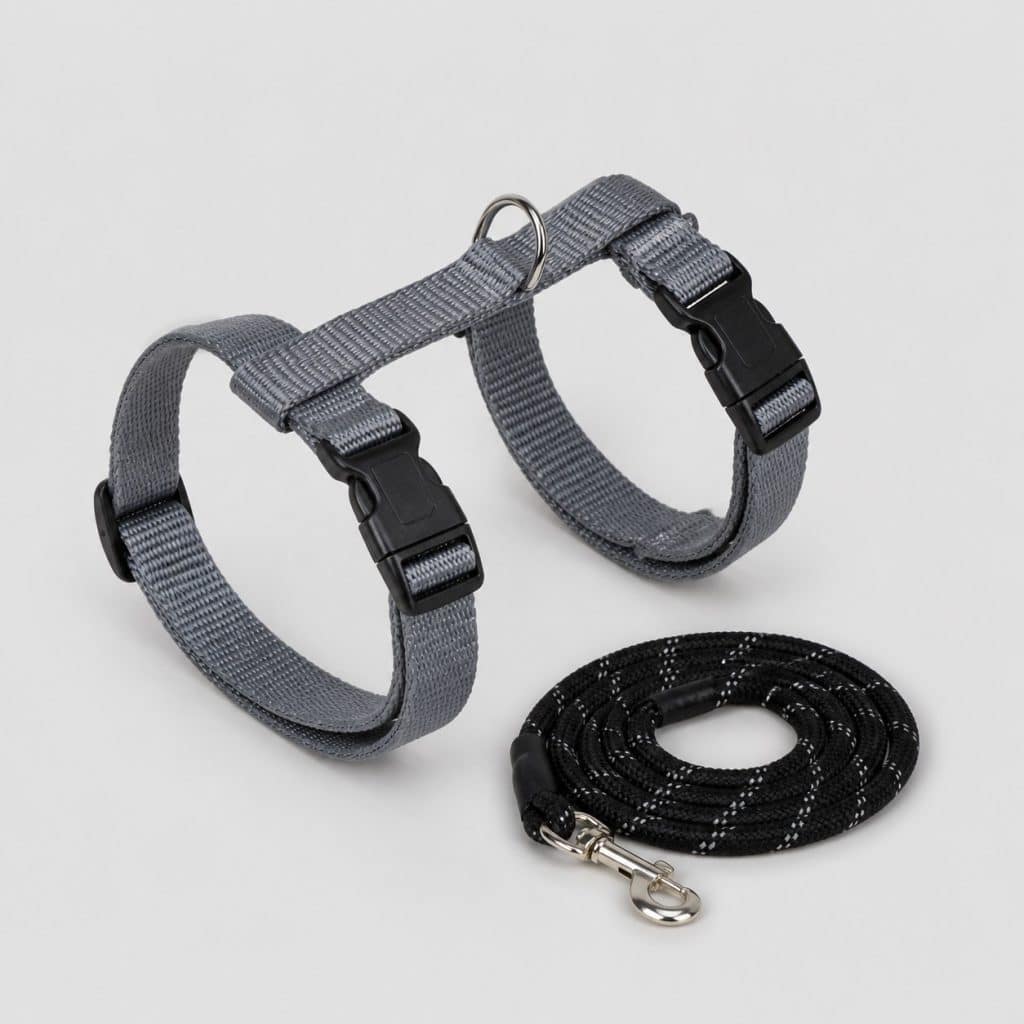 Harnais pour chaton en sangle grise avec sa corde réfléchissante