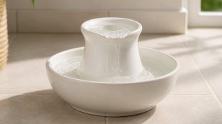 Comment choisir une fontaine à eau pour son chat ?